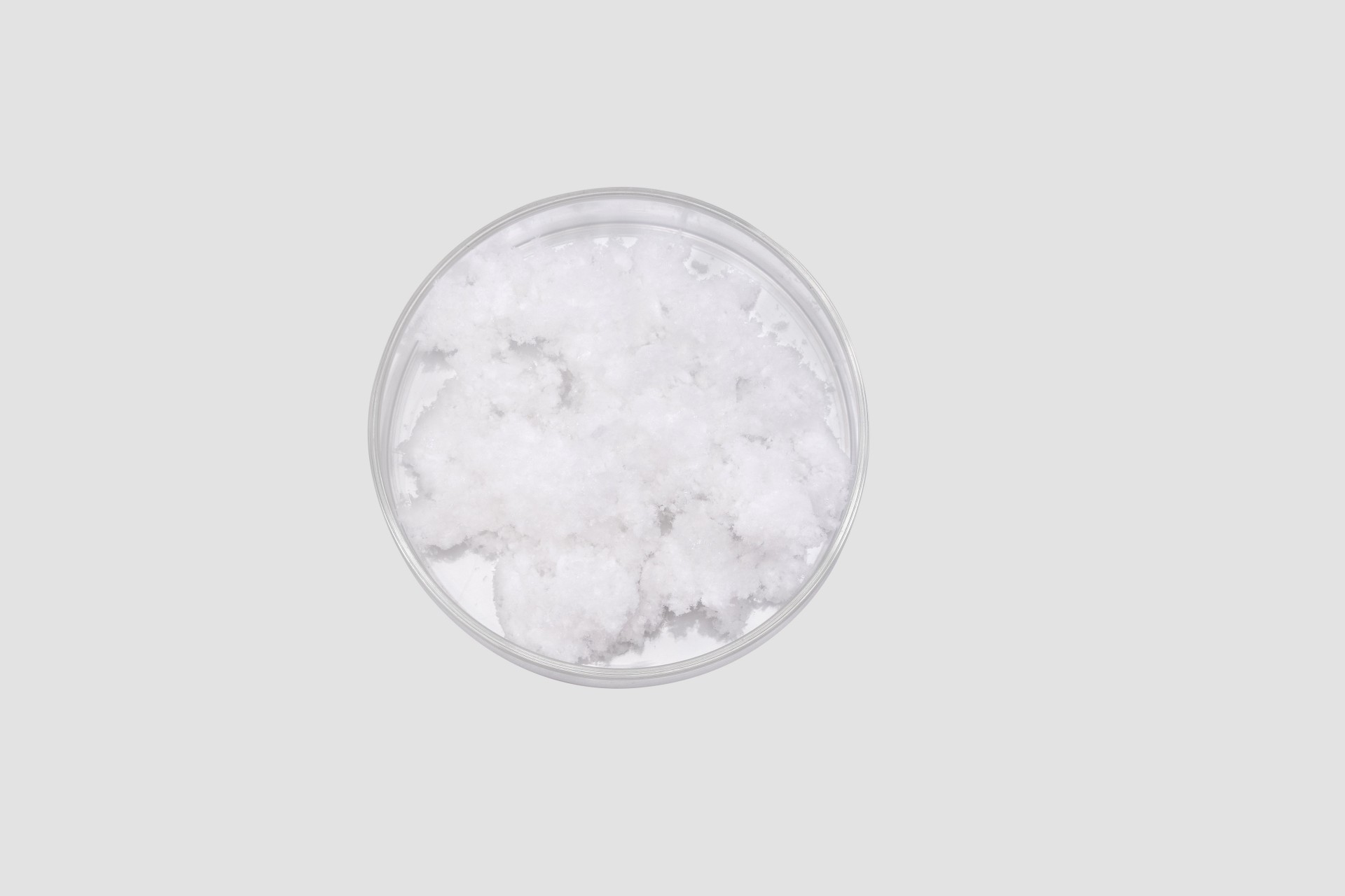 Atelocol&aacute;geno em p&oacute;