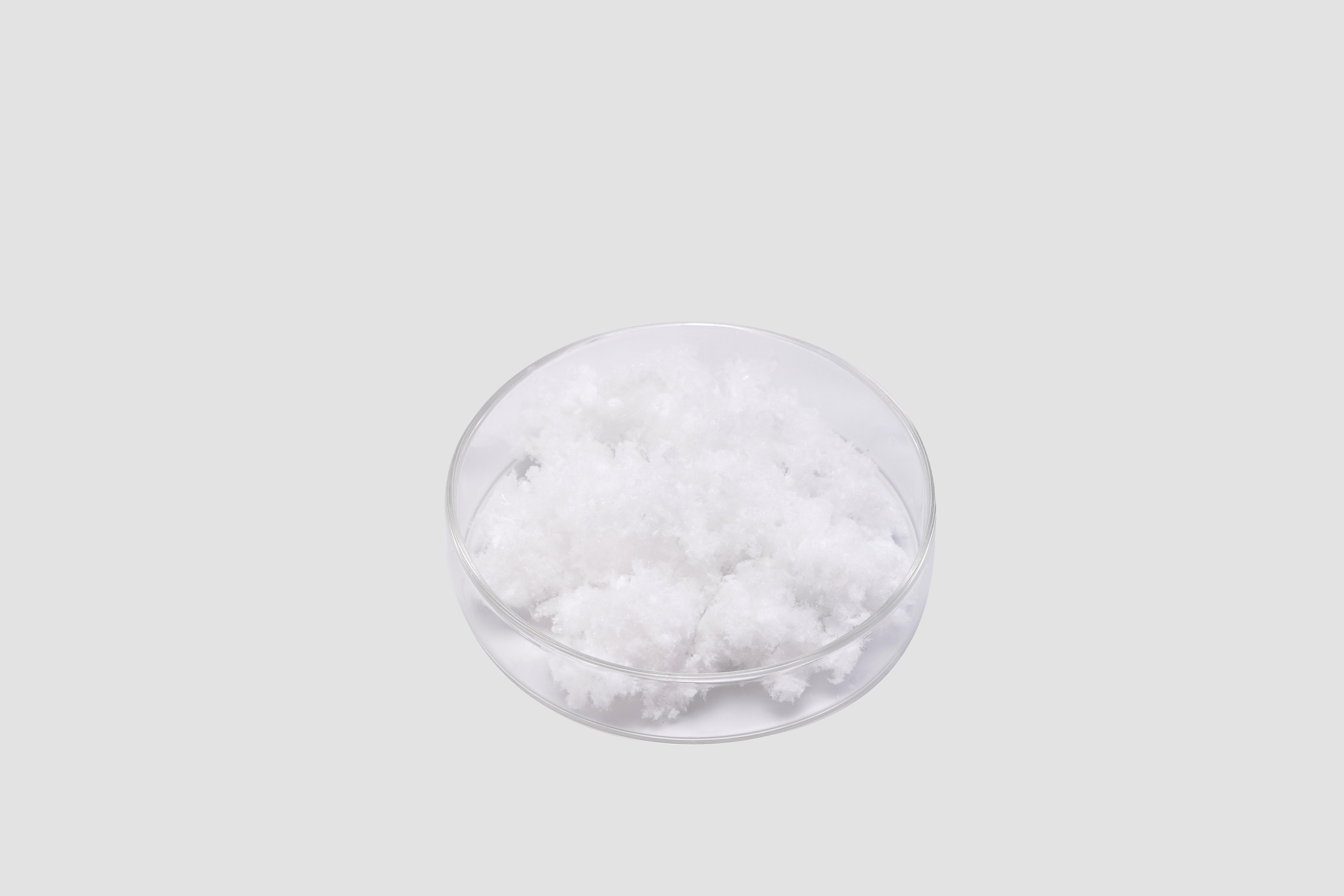 Preparando esponjas de atelocol&aacute;geno para libera&ccedil;&atilde;o sustentada